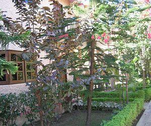 Corbett Treff Hotel Dhikuli Екстериор снимка